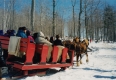 Sled Ride at Trapp Lodge