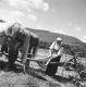 Woman and Carriage