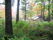 Sugarhouse in the Fall