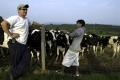 Cow Pasture