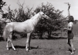 Doris Eddy and Horse