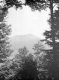 View of the Lion