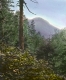 Burnt Rock