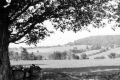 Stonewall and Fields