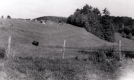 Warden Farm