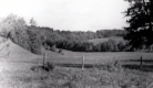 Warden Farm 1952