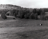 Behind Warden Farmhouse