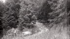 SUtton Brook above Warden Mailbox