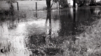 Water at Warden Farm