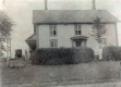 House and Hedges