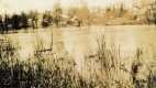 Barns and Sheds 