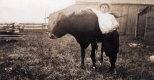 S. Seeley Reynolds Sr.