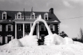 Snow Wishbone