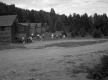 Cabins