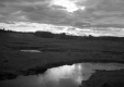 Stream