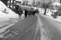 Greyhound Bus