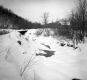 Stream in Winter
