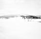Winter Scene