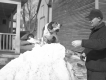 Dog on a Pile of Snow