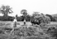 Farmers in their Field with a Team of Horses