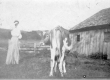 Woman with Grazing Cow