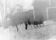 Horse and sleigh in the Snow