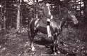 Historical Pageant, Man Mounted on Horse