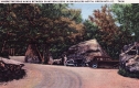 Giant Boulders