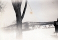 Snowy Meadow of the Robinson Property