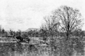 The Grounds of the Robinson Estate