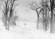 Winter Scene of the Robinson Grounds