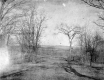 The Grounds of the Robinson Estate