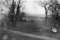 The Grounds of the Robinson Estate