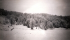 South Side of Shellhouse Mountain