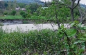 Below Stoweware Bridge