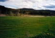 Field in Back of Moody's
