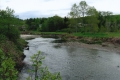 Vegetation lined river in Back of Moody's