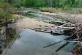 Beaver Dam