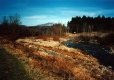 Bouchard Farm Area