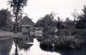 Sawmill
