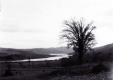 Southern View