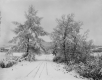 Snowy Road