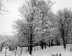 Bosworth Road in wintertime