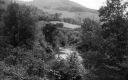 Dog River