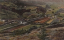 Dog River Scene