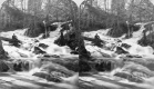 Falls