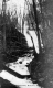 Falls