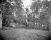 Camp Lookout