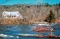 Brown's Mills Site