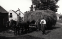 Donald Selina at Brigham Farm